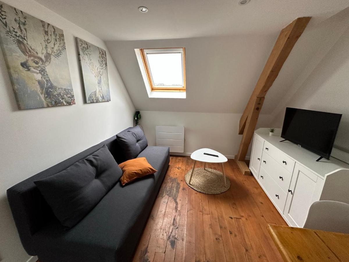 Superbe Appartement Proche Centre Ville, Thermes Bagnères-de-Bigorre Exteriör bild